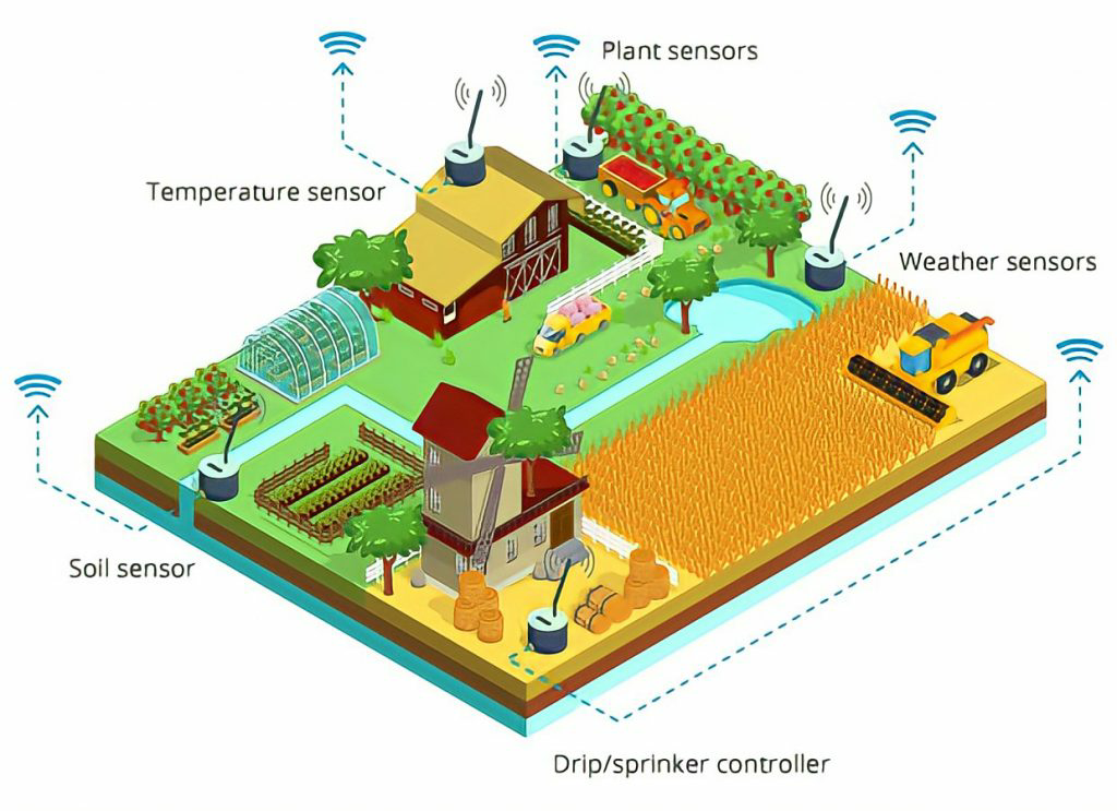 iot-1-1024x743